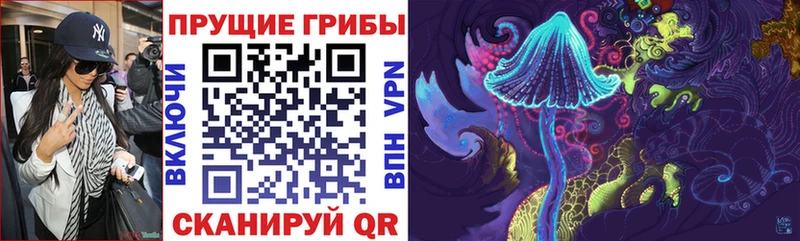 Галлюциногенные грибы Magic Shrooms  наркота  Оха 